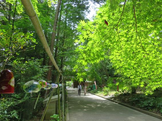 遠州三山　風鈴まつり（袋井市）