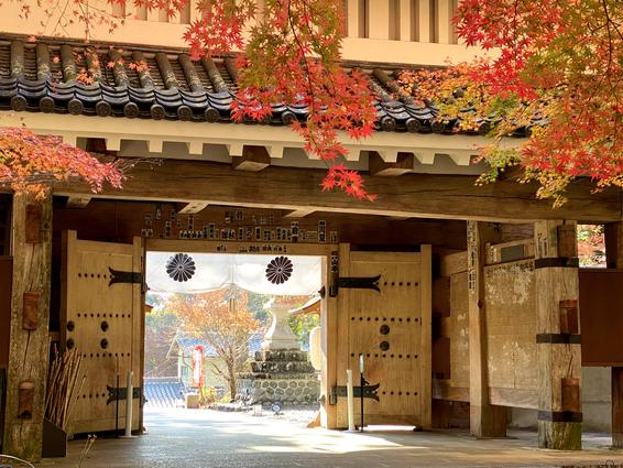 医王山 油山寺（袋井市）