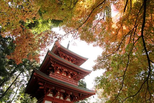 医王山 油山寺（袋井市）