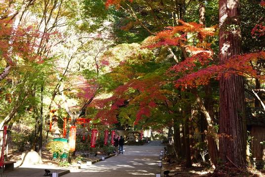医王山 油山寺（袋井市）