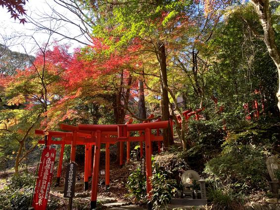医王山 油山寺（袋井市）