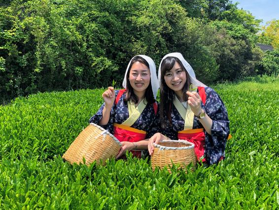 香りの丘茶ピア