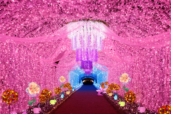 御殿場高原 時之栖 (御殿場市)