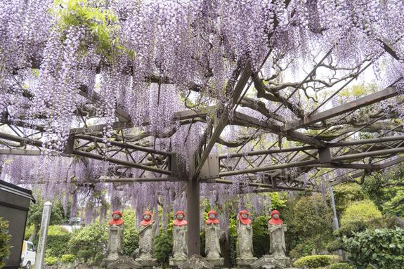林泉寺(伊東市)