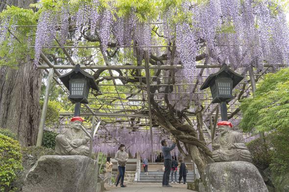 林泉寺(伊東市)