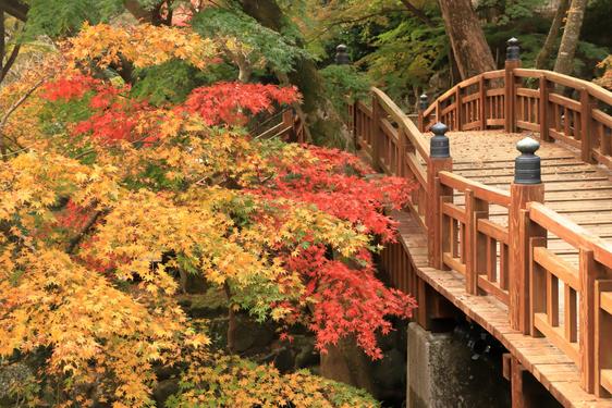 熱海梅園 ⓒ熱海市