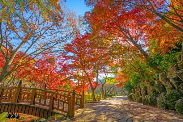 熱海梅園 ⓒ熱海市