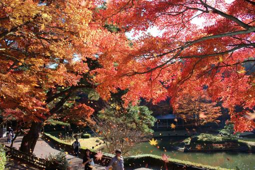 修善寺 虹の郷