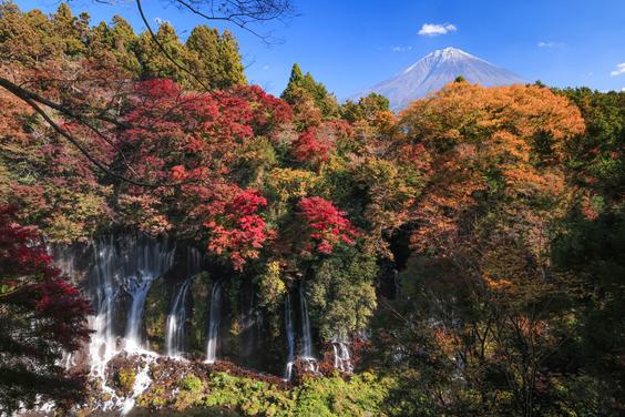 白糸の滝