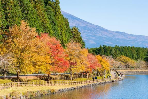 田貫湖
