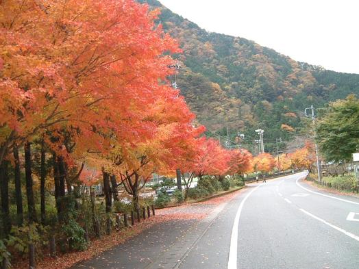梅ヶ島コンヤの里