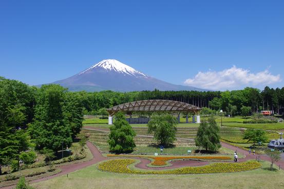富士山樹空の森（御殿場市）