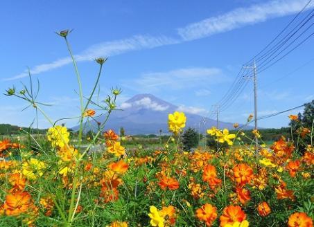 パノラマ遊花の里（裾野市）