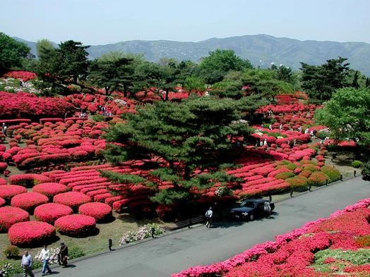 小室山公園つつじ園
