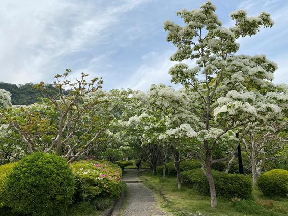 城北公園（静岡市）