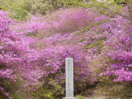 勝間田公園
