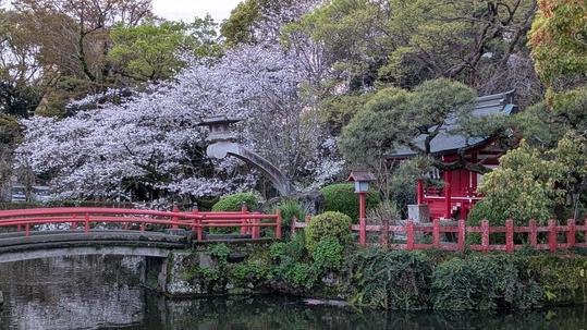三嶋大社