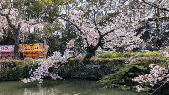 三嶋大社