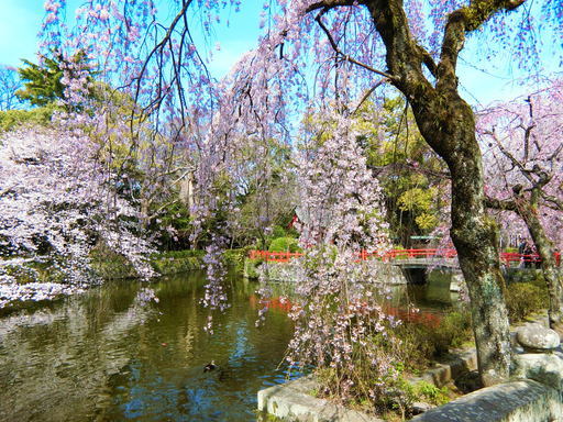 三嶋大社