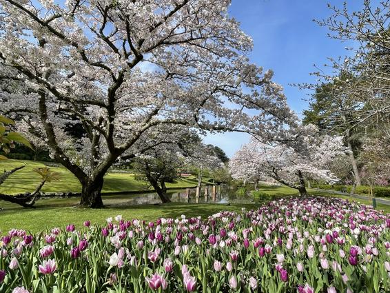 はままつフラワーパーク(浜松市)