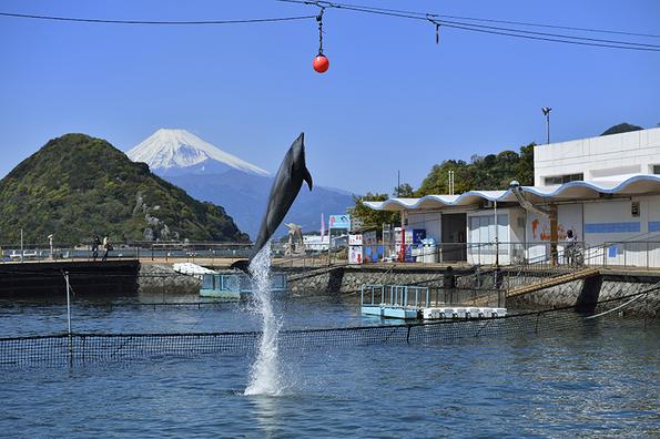 伊豆・三津シーパラダイス