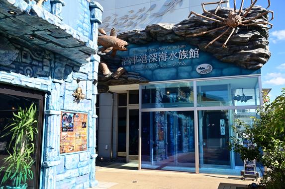 沼津港深海水族館 シーラカンス・ミュージアム