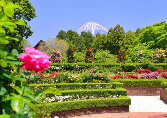 広見公園