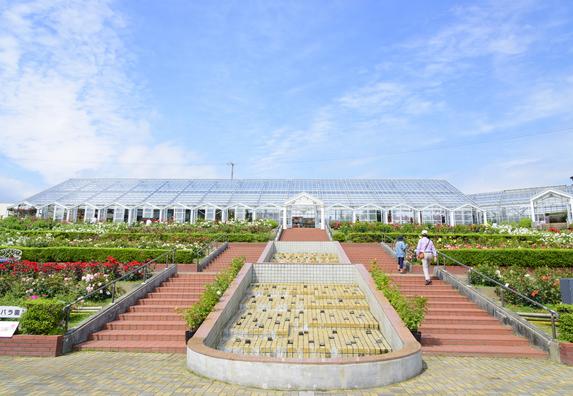 島田市ばらの丘公園