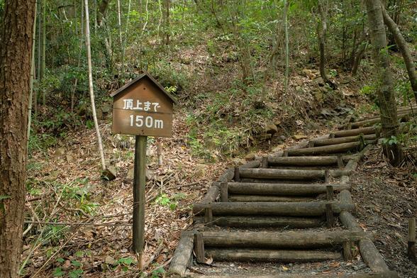 渋川つつじ公園