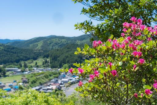 渋川つつじ公園