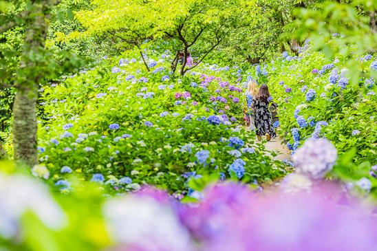 下田公園
