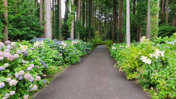 秩父宮記念公園