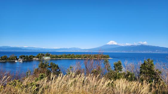 大瀬崎