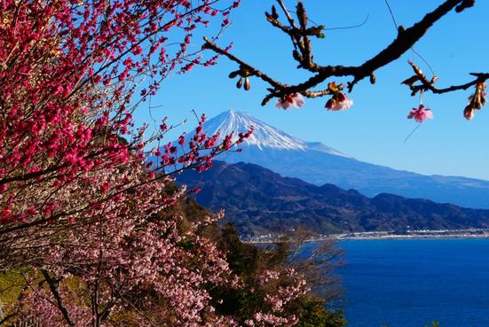 薩埵峠