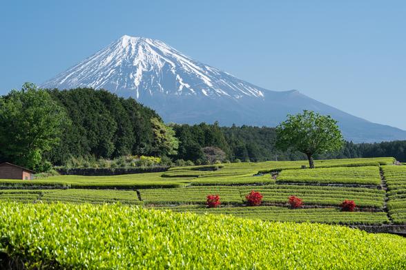 富士山を見るならここ！静岡県民おすすめの富士山ビュースポット10選
