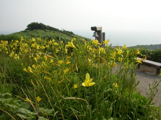 奥石廊ユウスゲ公園