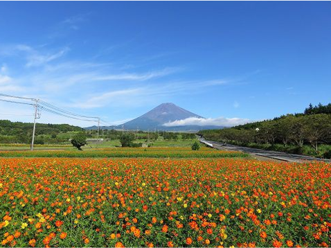 富士山すそのパノラマロード