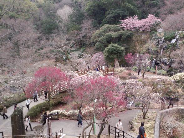 熱海梅園
