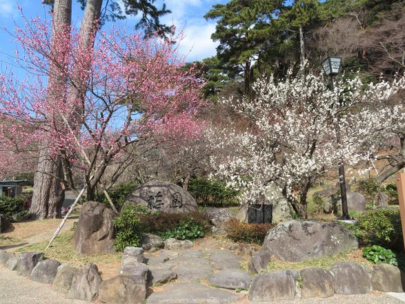 熱海梅園