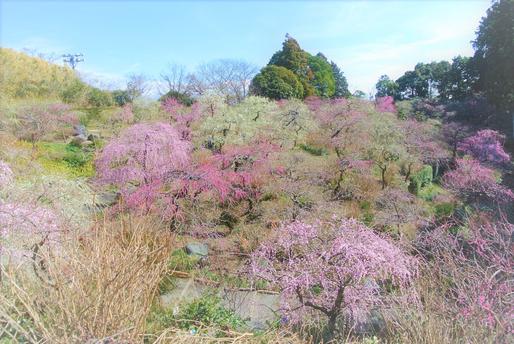 龍尾神社