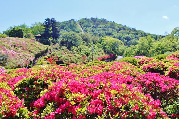 小室山公園