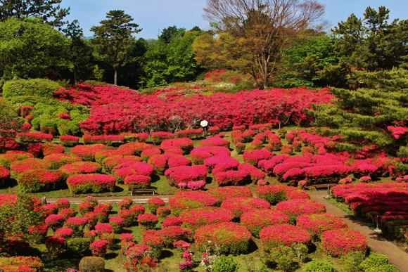 小室山公園
