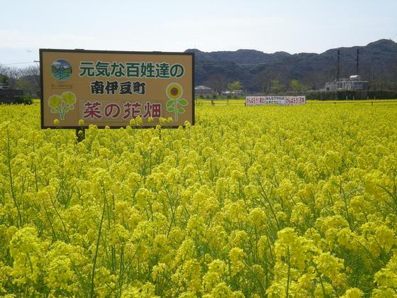 南伊豆町日野地区