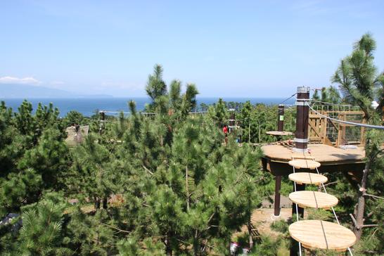 PICA初島