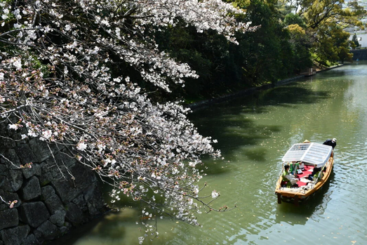 静岡県中部エリア（静岡・島田・焼津・藤枝・牧之原・吉田・川根本町）のおススメ体験14選！