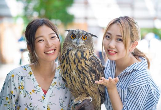 静岡県中東遠エリア（磐田・掛川・袋井・御前崎・菊川・森）のおススメ体験18選！