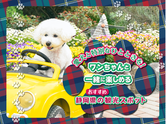 愛犬とお出かけなら静岡県へ！犬連れOKな絶景・体験スポット12選