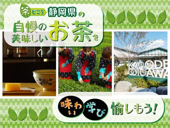 お茶と言えば静岡県!茶の都しずおか自慢の美味しいお茶を味わい、学び、愉しもう!!