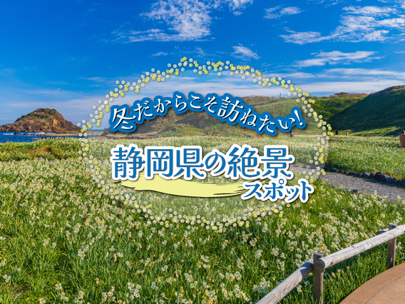冬こそ行きたい静岡観光。感動の絶景スポット5選(水仙・梅・夕日)