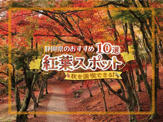 静岡県の紅葉名所10選~地元民おすすめの穴場もご紹介します~